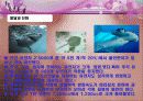 아동발달 01장 아동발달 이해의 기초 6페이지