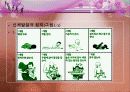 아동발달 01장 아동발달 이해의 기초 11페이지