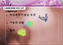 아동발달 01장 아동발달 이해의 기초 25페이지