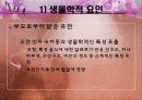 아동발달 01장 아동발달 이해의 기초 26페이지