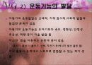 아동발달 06장 아동기 발달 14페이지