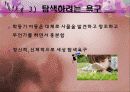 아동발달 06장 아동기 발달 25페이지