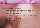 아동발달 07장 발달과 생태환경 23페이지