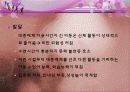 아동발달 07장 발달과 생태환경 27페이지
