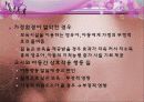 아동발달 07장 발달과 생태환경 34페이지