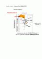 싱가폴 F&B 그룹 JUMBO 33페이지