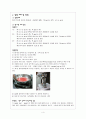 딸기잼 제조 실험 4페이지
