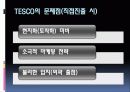테스코(TESCO)조사 분석 25페이지