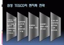 테스코(TESCO)조사 분석 30페이지