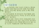 기분장애(양극성장애와 우울장애) 파워포인트 PPT 보고서 3페이지