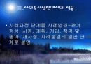 사례관리이론과 실천적 개입적용 그리고 시연 파워포인트 PPT 보고서 11페이지