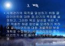 사례관리이론과 실천적 개입적용 그리고 시연 파워포인트 PPT 보고서 14페이지