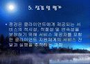 사례관리이론과 실천적 개입적용 그리고 시연 파워포인트 PPT 보고서 16페이지