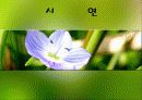 사례관리이론과 실천적 개입적용 그리고 시연 파워포인트 PPT 보고서 19페이지