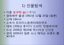 오구리슌의 패션조사 3페이지