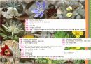 [A+]미나리아재비과에 대한 발표PPT자료입니다 5페이지