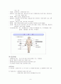 HCC(간세포암) case 10페이지