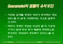 가용성휴리스틱에 대하여,가용성휴리스틱의사례,가용성휴리스틱의실험방법,가용성휴리스틱의문제점 발표자료PPT 10페이지