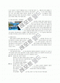 자동차 환경규제(euro-5 등)와 미래자동차 10페이지