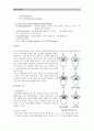 성인간호 척추협착증 case (spinal stenosis) 3페이지