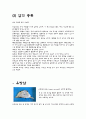 면역과 암 16페이지