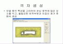 컨테이너 트럭의 스포일러에 따른 공기유동 분석 7페이지