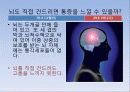   우리가 잘못알고있는 뇌 7페이지