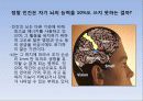   우리가 잘못알고있는 뇌 10페이지