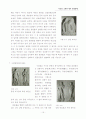 석굴암 소개와 향후 발전 방향 17페이지