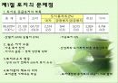우리나라 토지정책의 발전방향 및 추진전략 19페이지