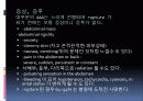 복부대동맥류 11페이지