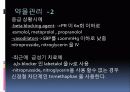 복부대동맥류 24페이지