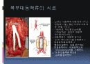 복부대동맥류 28페이지