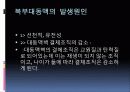 복부대동맥류 34페이지