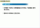 경락과 두피 5페이지