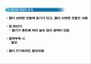경락과 두피 8페이지