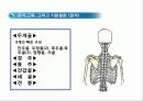 두피 마사지의 이론 7페이지