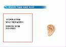 두피마사지 32페이지