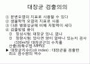 환경위생에 대하여 11페이지