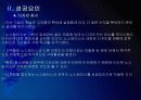 [노스페이스]노스페이스 성공요인 분석 PPT자료 12페이지