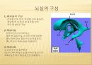 (성인-수술실컨퍼) 뇌실 - 복강간 단락수술(사진 많음, 동영상 있음) 4페이지