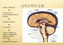 (성인-수술실컨퍼) 뇌실 - 복강간 단락수술(사진 많음, 동영상 있음) 8페이지