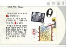 거푸집 공사 레포트 3페이지