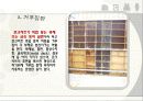 거푸집 공사 레포트 5페이지