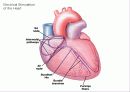 pacemaker 9페이지