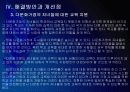 [다문화가정]다문화 가정의 원인,문제점과 해결방안(다문화 가정의 문제점과 대책) PPT자료 32페이지