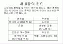 백내장 교육보고서 4페이지