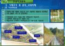 낙동강둔치 정비사업(화명지구) 13페이지