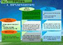 낙동강둔치 정비사업(화명지구) 16페이지