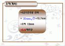 수준측량 발료자료 ppt 22페이지